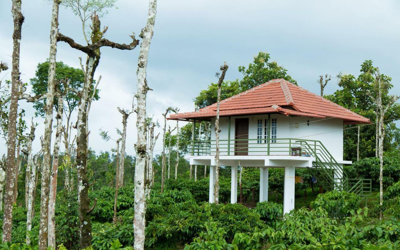 The Suvistara Wayanad Kerala Bed & Breakfast Meenangadi Eksteriør bilde