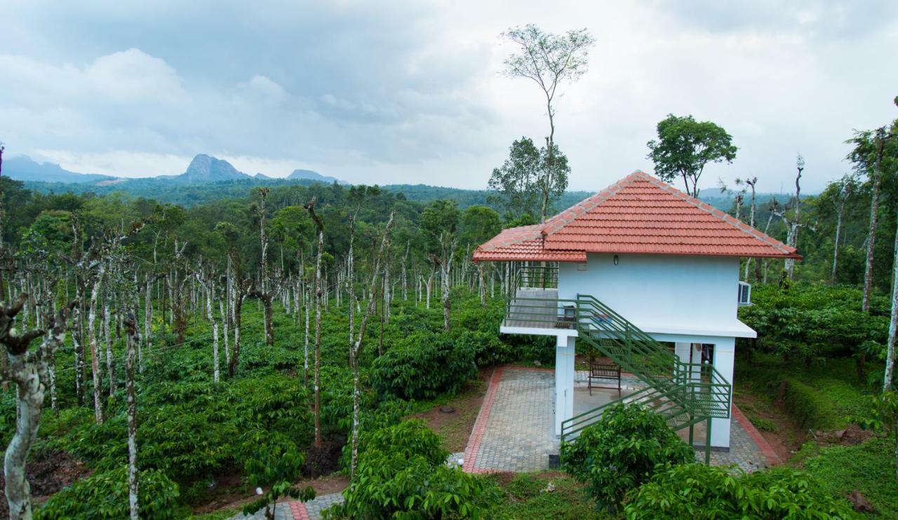 The Suvistara Wayanad Kerala Bed & Breakfast Meenangadi Eksteriør bilde