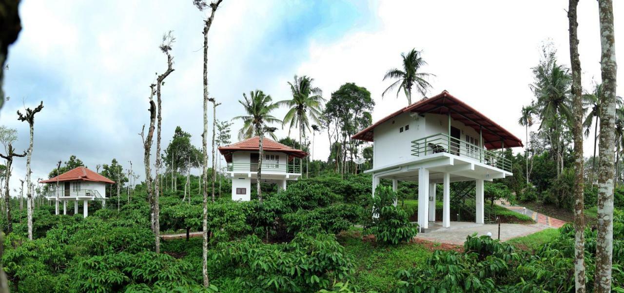 The Suvistara Wayanad Kerala Bed & Breakfast Meenangadi Eksteriør bilde